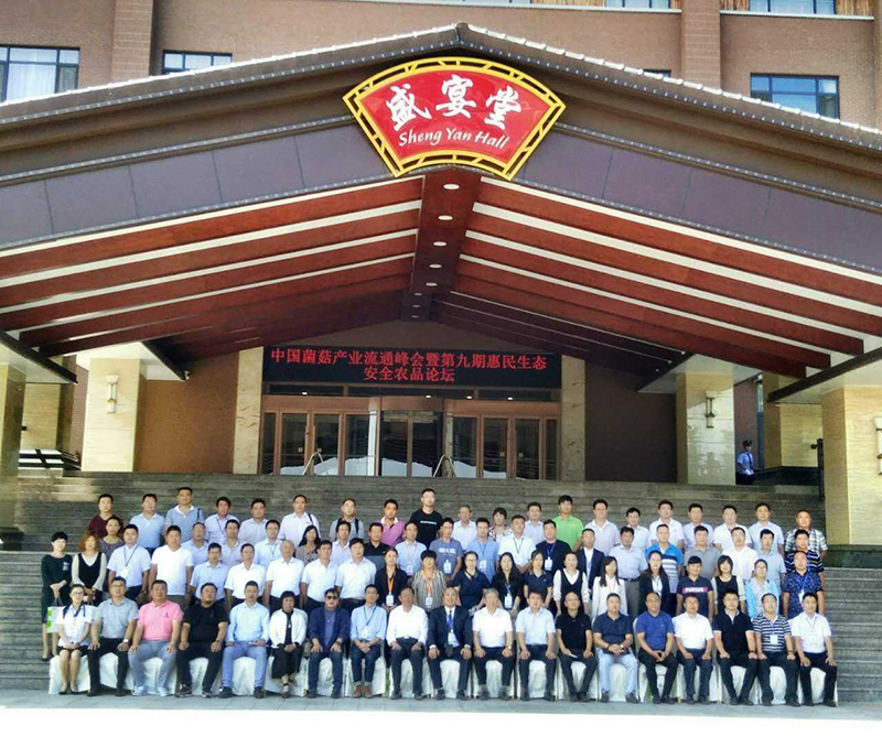 【農業+互聯網】中國菌菇發展之路